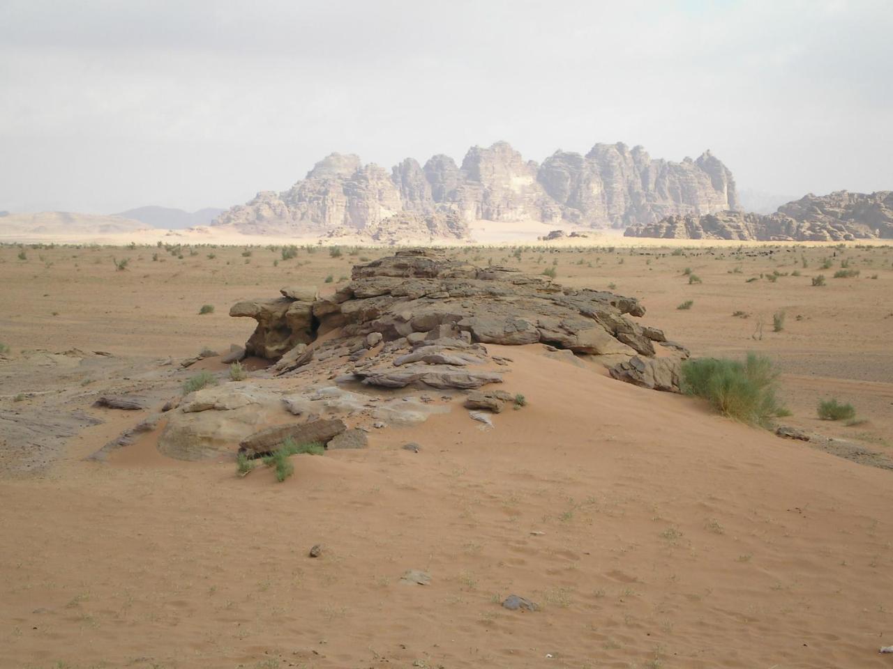 Bedouin Stylelife Camp Hotell Wadi Rum Eksteriør bilde